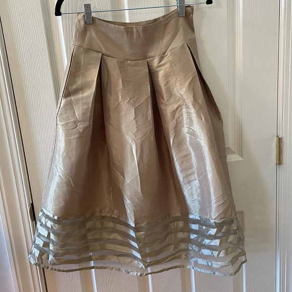 Jasmine - Gold Pleated Skirt with Striped Sheer Panel at Hem - Size Small - Picture 2 of 9